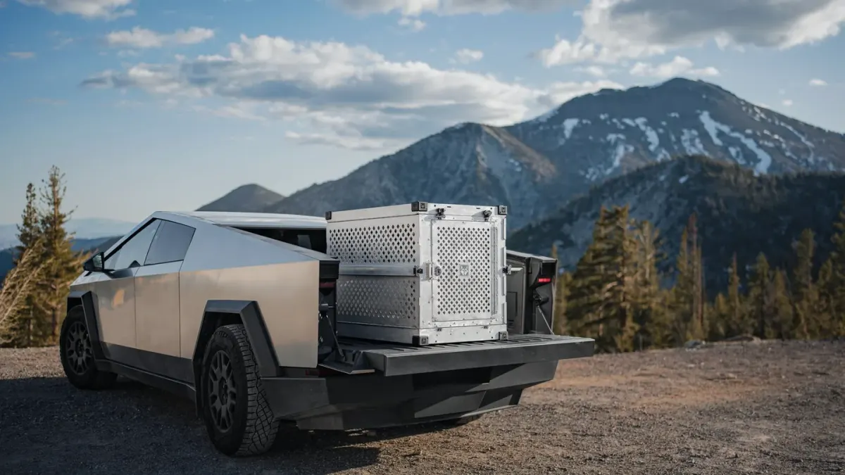 A dog crate secured in the back of a car before a drive