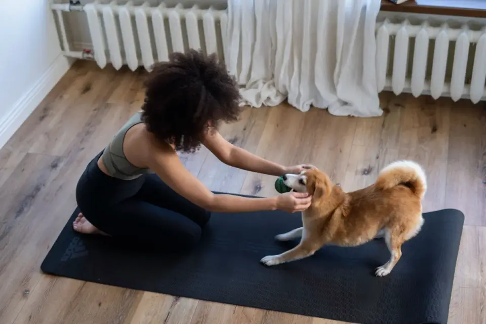 A dog owner practicing a training exercise at home using treats