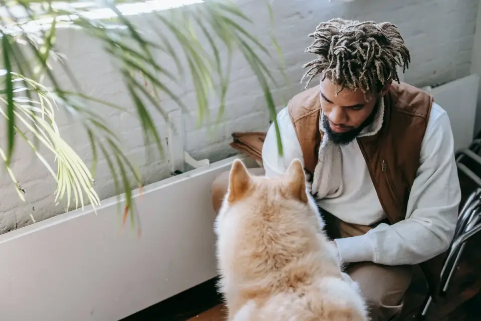 A dog owner reading a supplement label in the kitchen