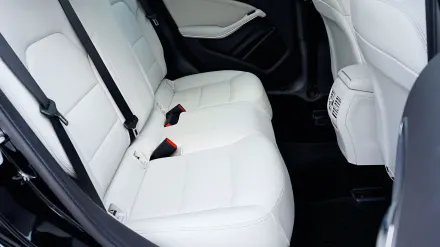 A dog secured in the back seat of a car wearing a padded harness clipped to a seatbelt strap