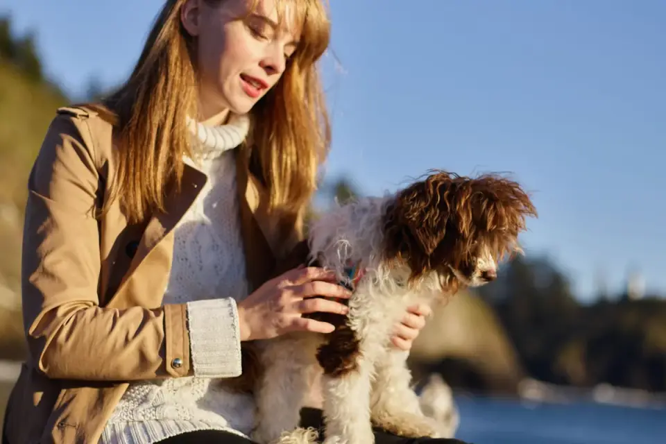 A dog sitting calmly while an owner holds grooming clippers nearby without activating them