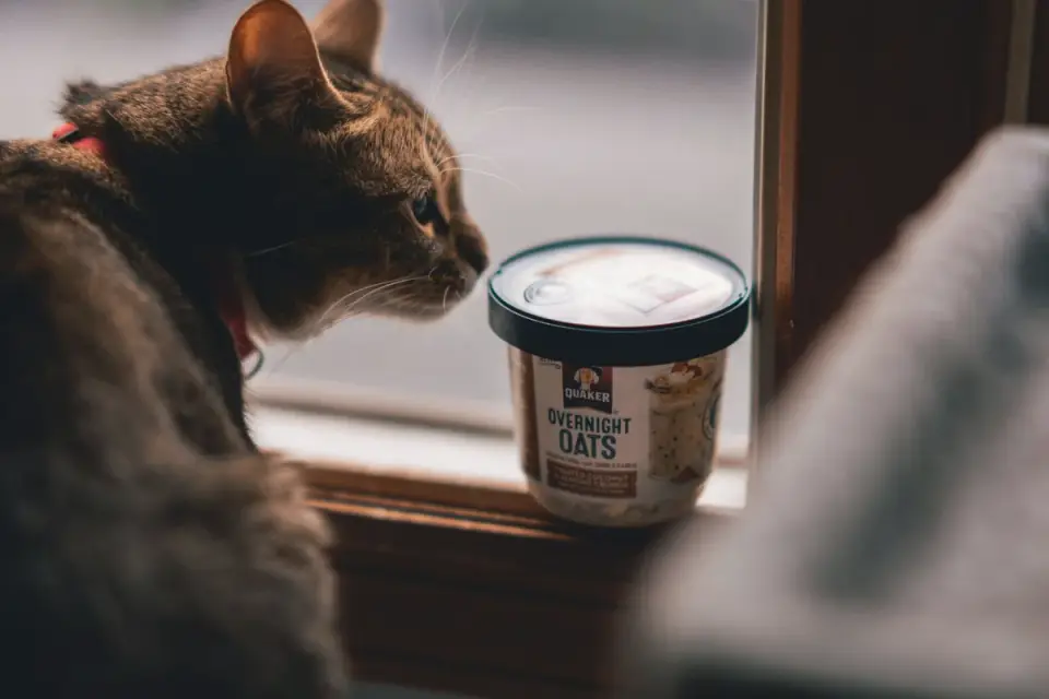 A dog sniffing at a bowl of ice cream left on a kitchen floor