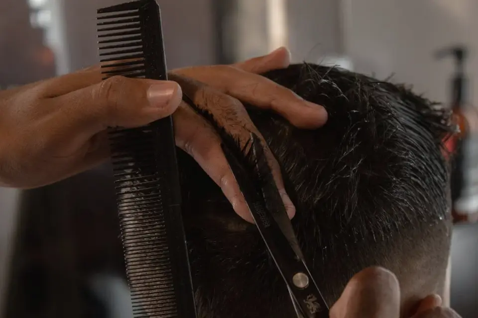 A groomer trimming fur around a dog&#x27;s face with small scissors