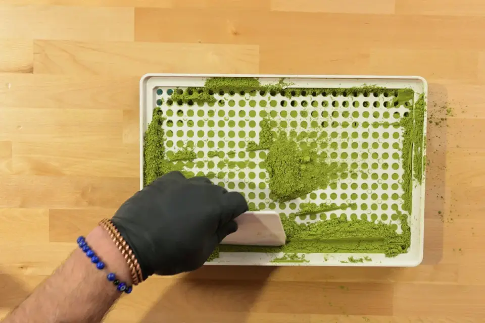 A hand sprinkling supplement powder over a bowl of dog food
