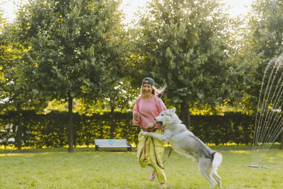 A handler standing in a park holding a long training line while a dog runs toward them