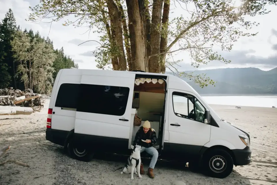A person using a glucose meter to check a dog&#x27;s blood sugar outdoors during a trip