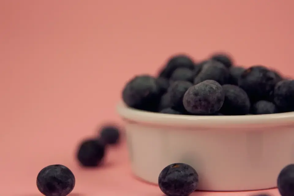 A small bowl of fresh blueberries beside a dog's food bowl on a kitchen counter
