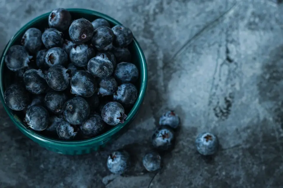 A small bowl of fresh blueberries beside a jar of dog supplement chews on a kitchen counter