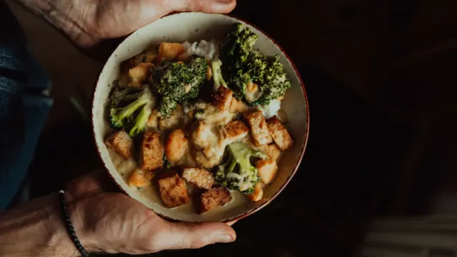 A small bowl of steamed broccoli florets sitting near an empty dog food bowl