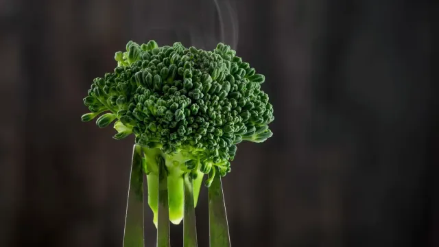 A small dish of steamed broccoli florets sitting near an attentive dog in a home kitchen