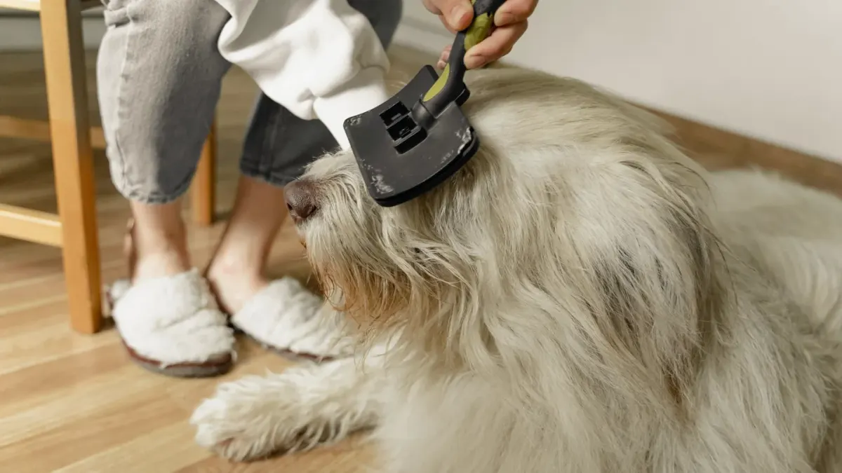 A small dog and a large dog being brushed side by side on grooming tables