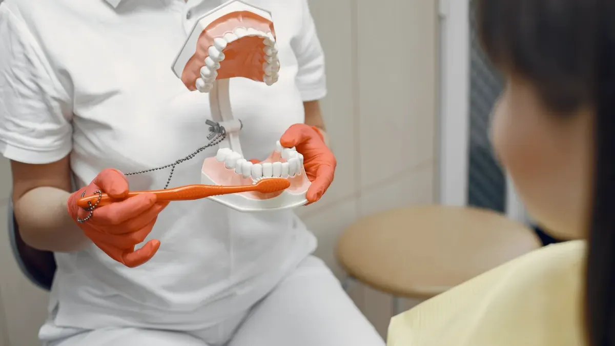 A small dog holding still while an owner brushes its teeth with a small soft toothbrush