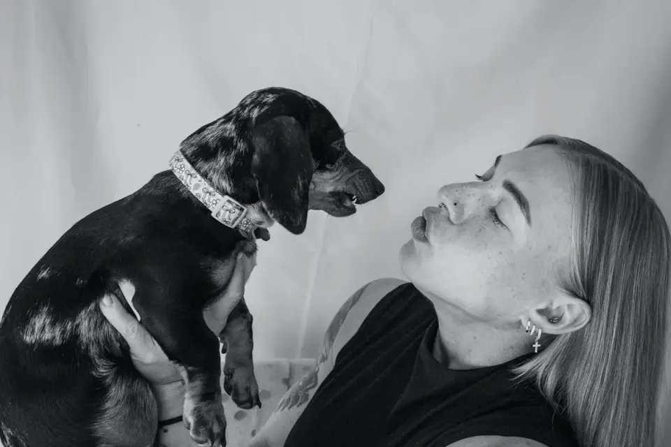 A veterinarian crouching to observe a dog's posture and body language
