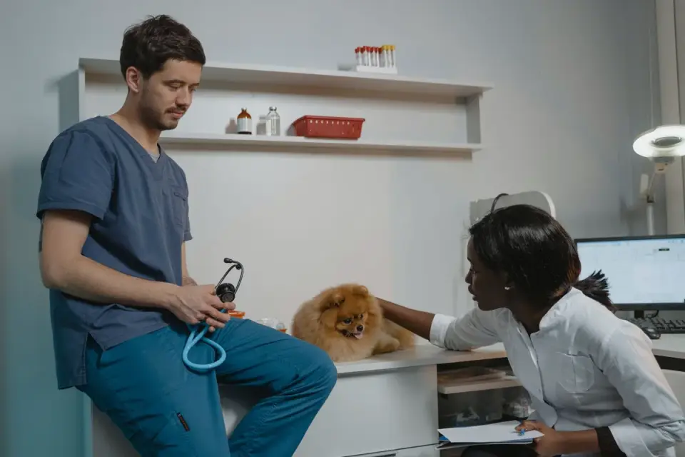 A veterinarian discussing a dog's behavior with its owner during a checkup