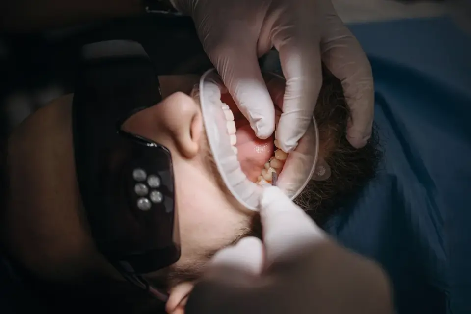 A veterinarian gently checking a dog's gum color during an exam