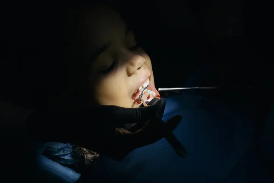 A veterinarian gently examining a small dog&#x27;s mouth and teeth during a checkup