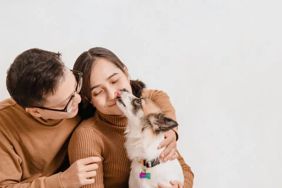 A veterinarian reviewing a printed dog food recipe with a pet owner