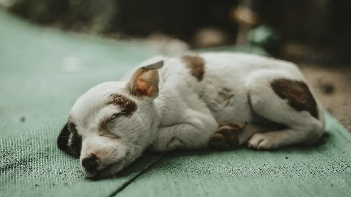 A young puppy lying calmly inside an open wire crate on a blanket