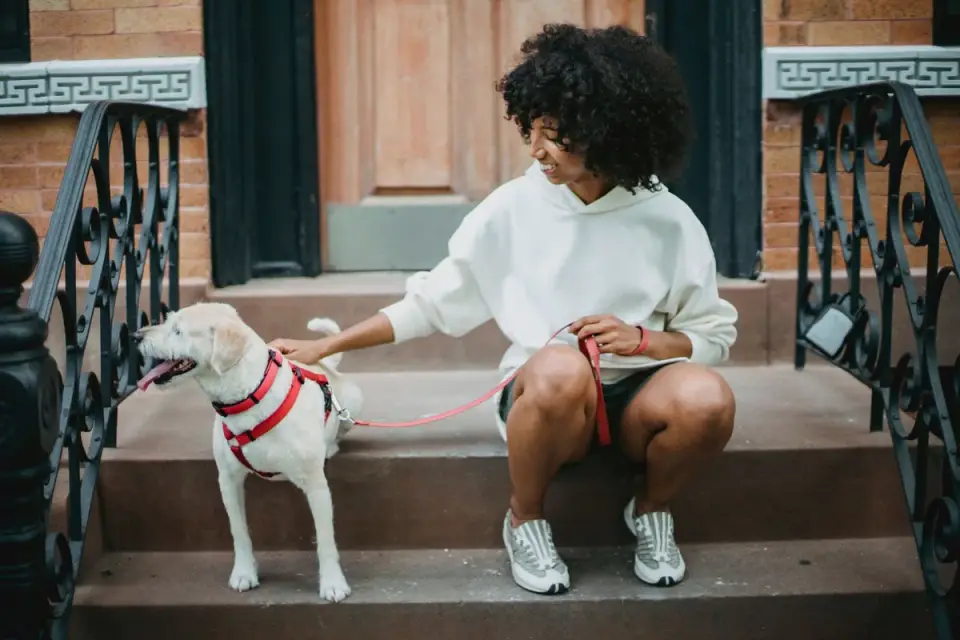 An owner letting a dog sniff and hear an unpowered nail grinder before a trim