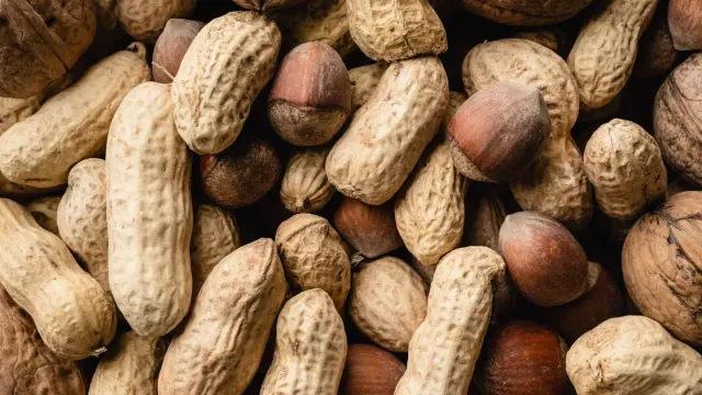 Assorted whole nuts scattered on a wood table near a wary-looking dog
