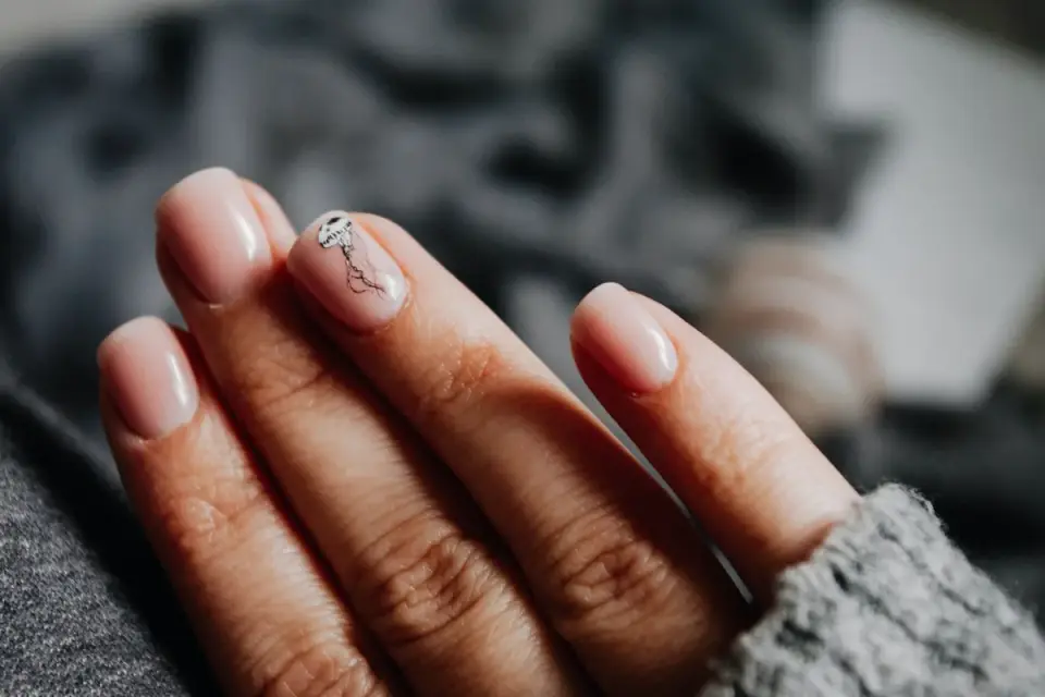Close-up of a light-colored dog nail showing the pink quick inside