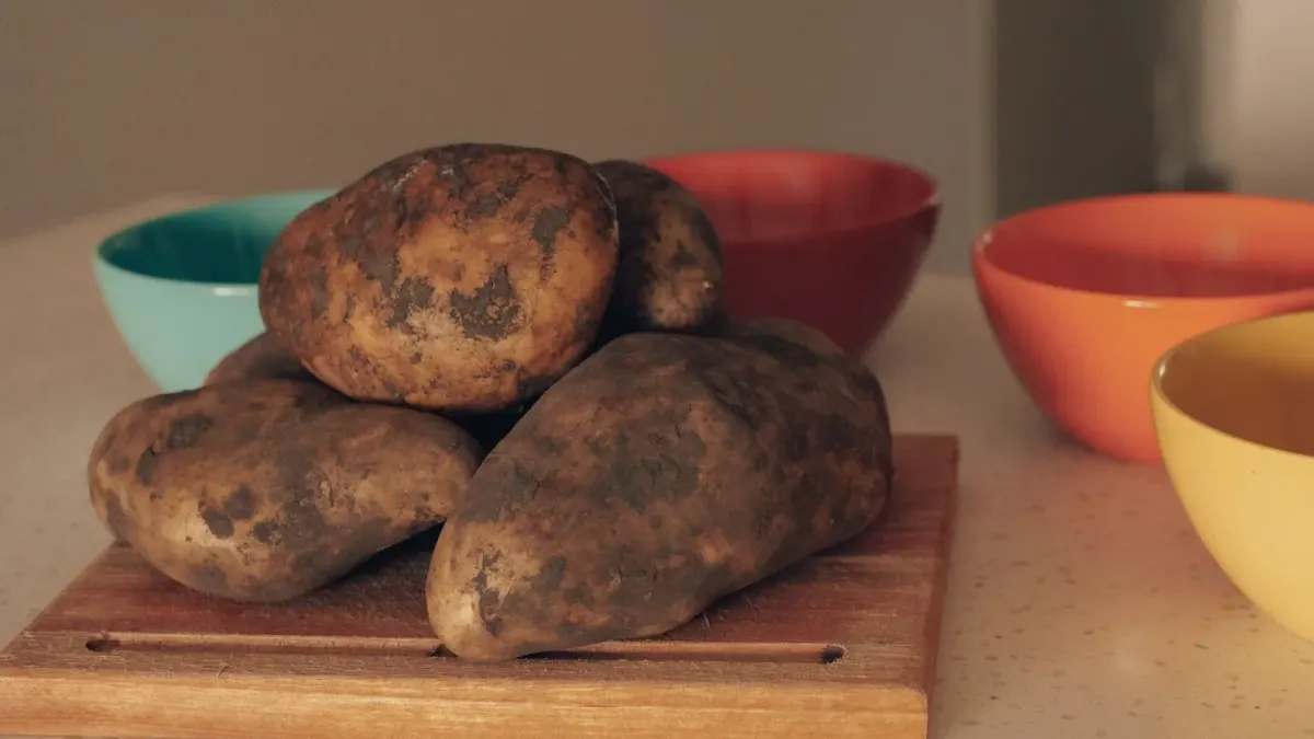 Cubed cooked sweet potato served in a stainless dog bowl
