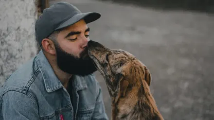 Dog and owner together
