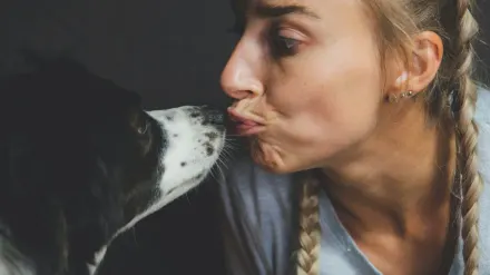 Dog and owner together