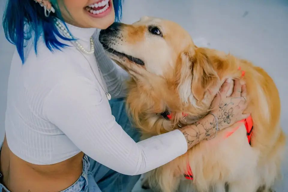 Dog and owner together