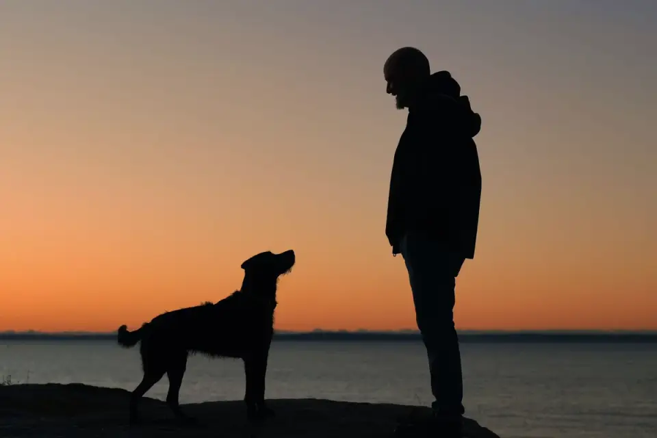 Dog and owner together