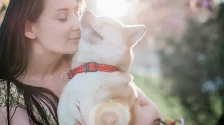 Dog and owner together