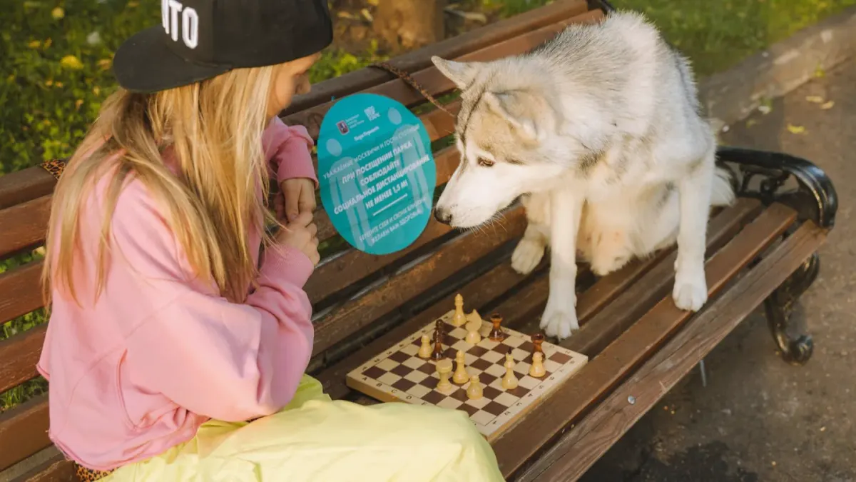 Dog and owner together