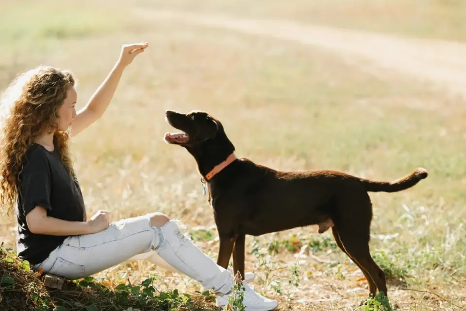 Dog and owner together