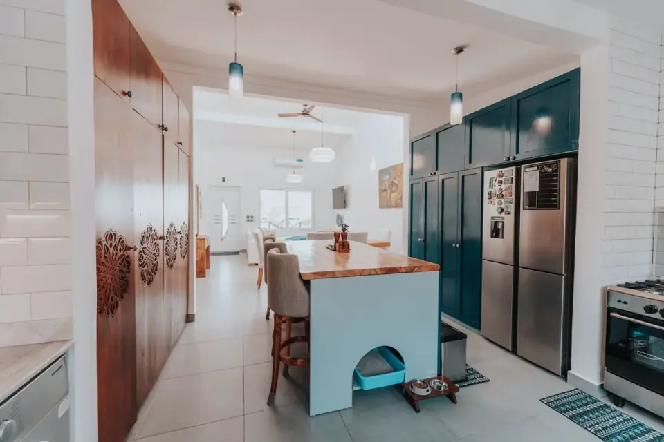 Dog at home near a kitchen