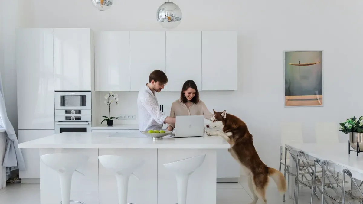 Dog at home near a kitchen