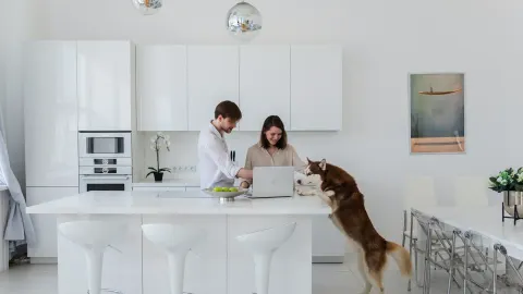 Dog at home near a kitchen