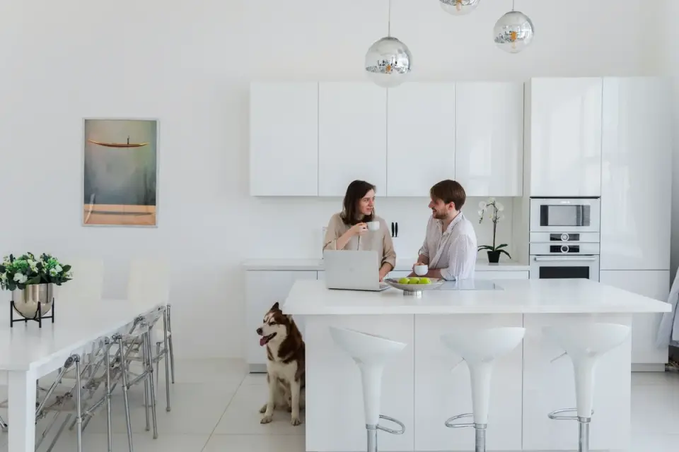 Dog at home near a kitchen