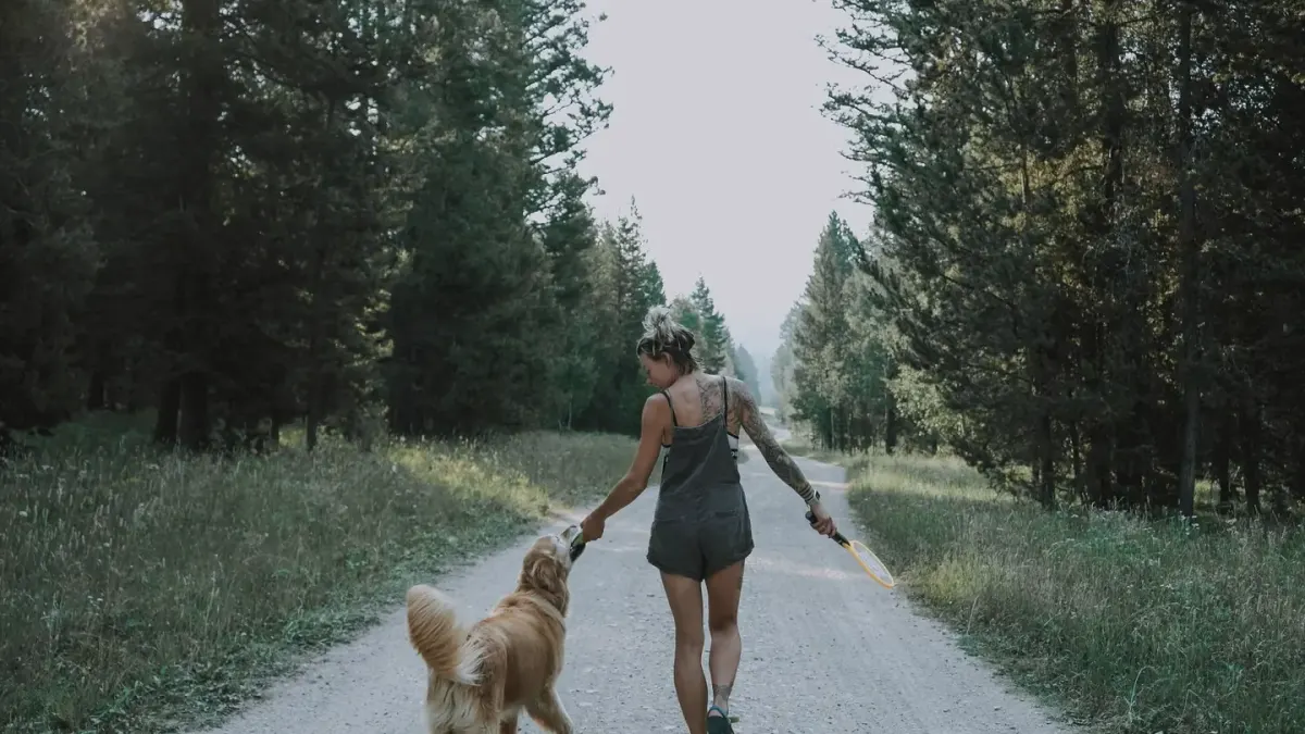 Dog beside a cycling path