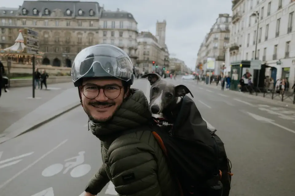 Dog beside a cycling path