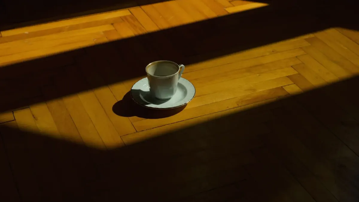 Dog bowl at home
