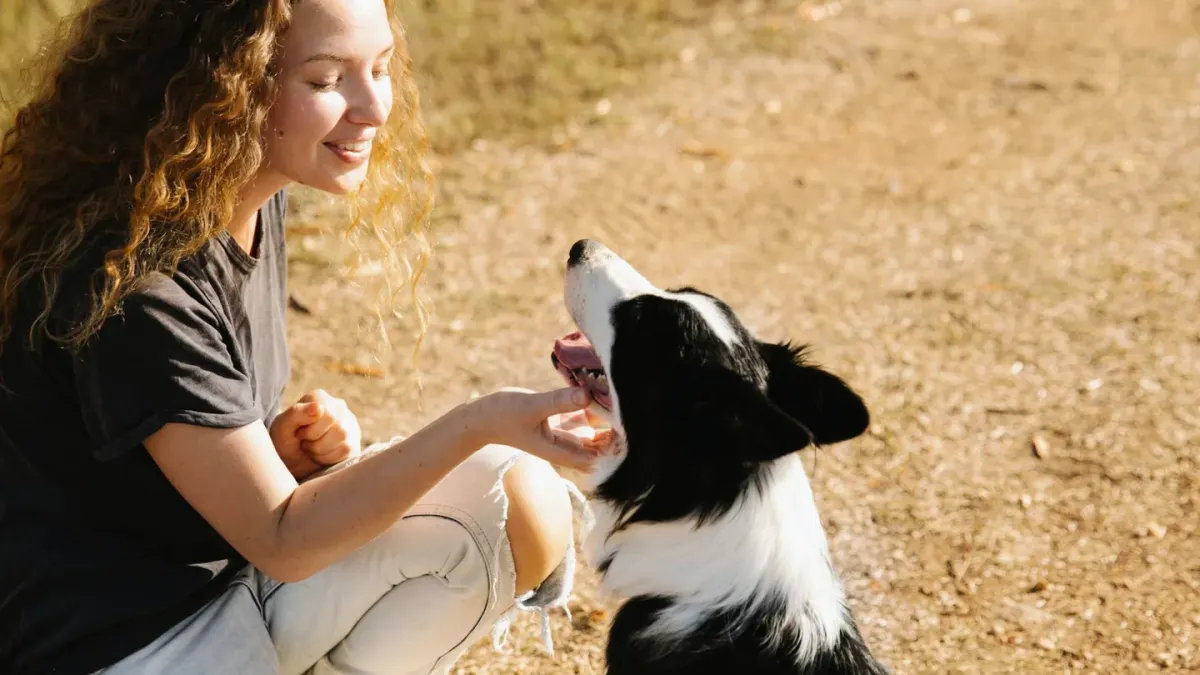 Dog camping with an owner