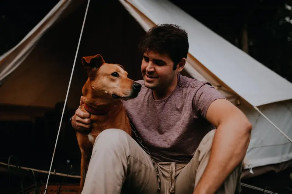 Dog camping with an owner