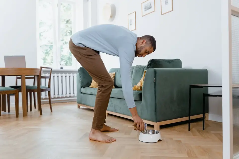 Dog eating from a bowl