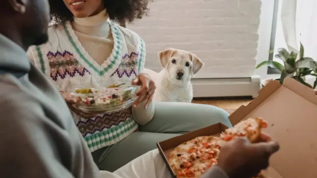 Dog eating from a bowl
