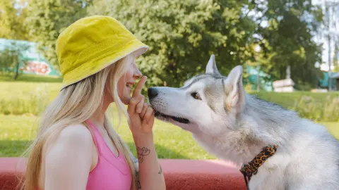 Dog eating outdoors