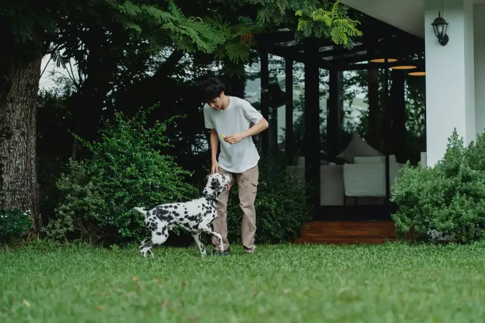 Dog greeting an owner