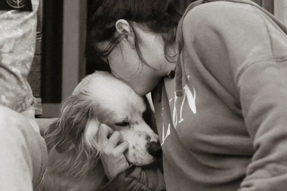 Dog greeting an owner
