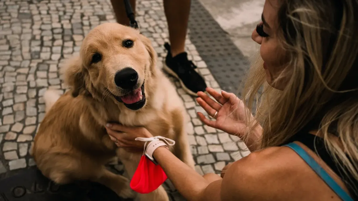 Dog greeting an owner