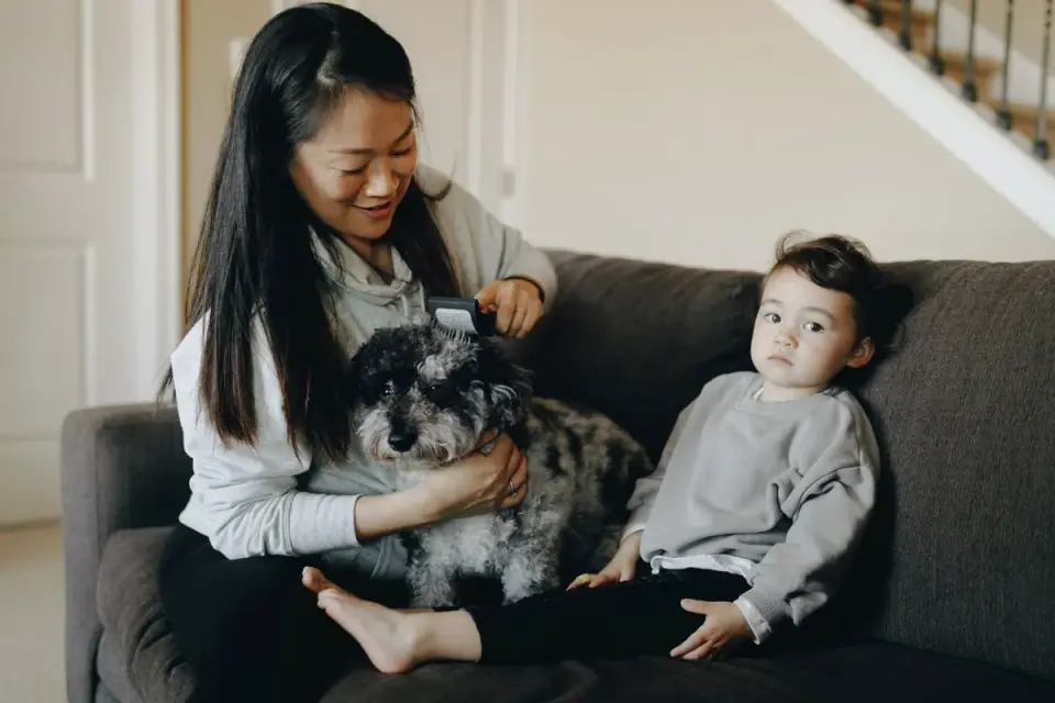 Dog having nails trimmed