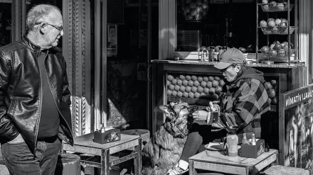 Dog having nails trimmed